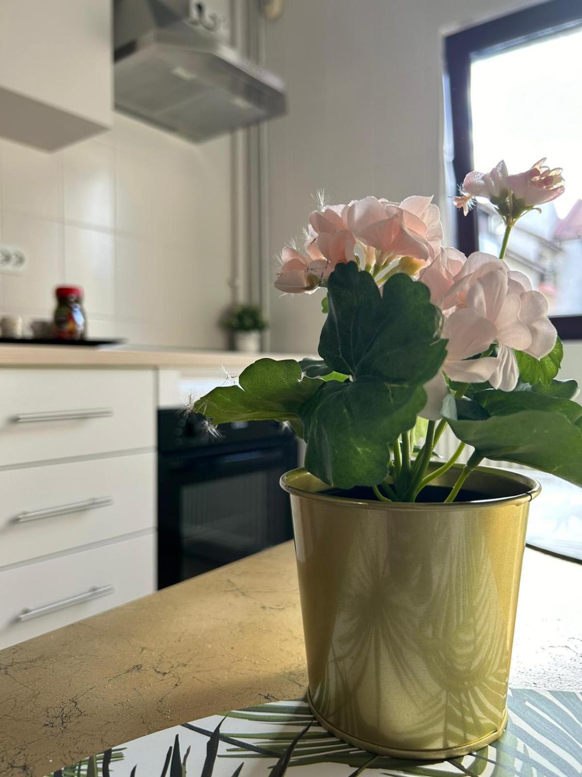 Luxury Studio Ploieşti Eksteriør billede